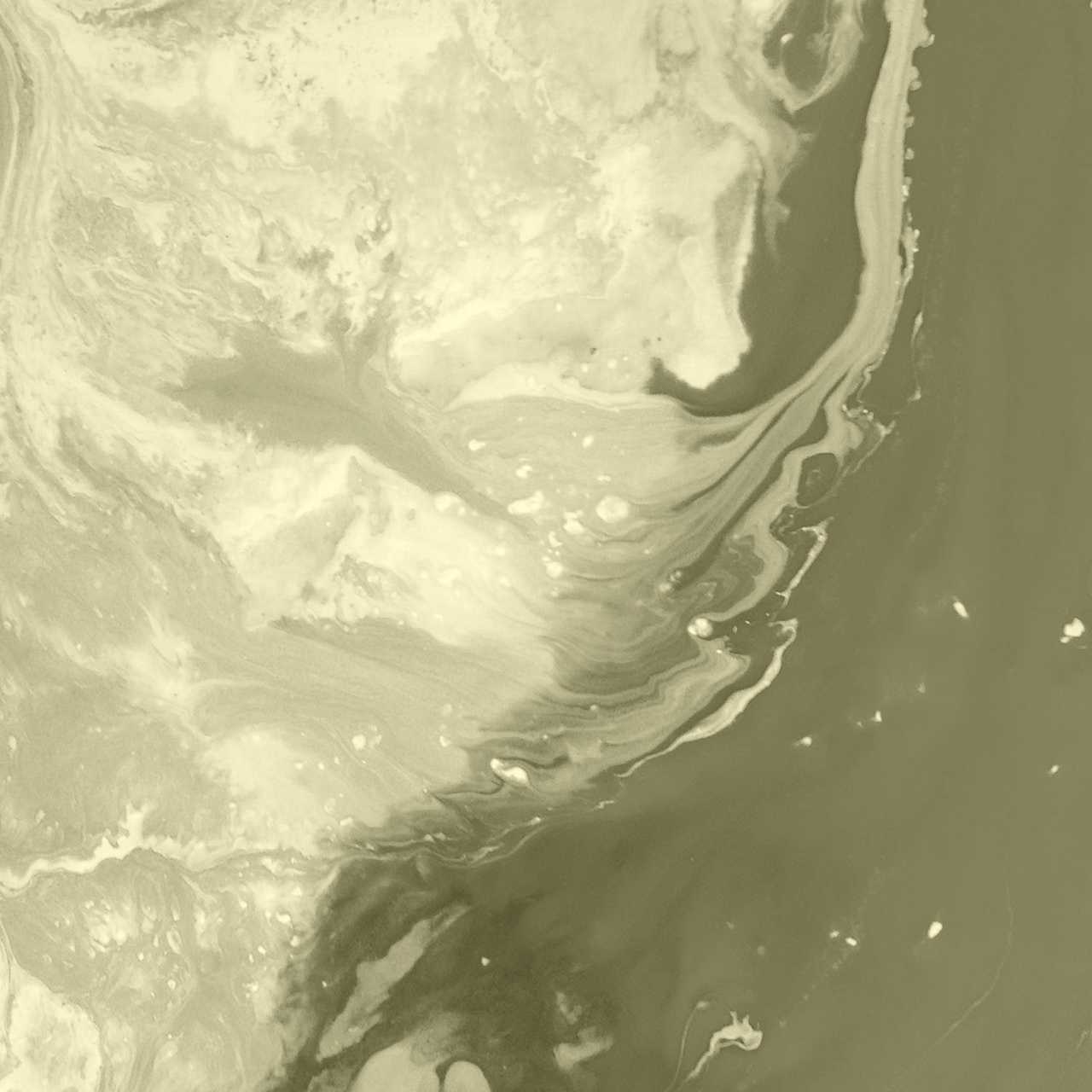 Ridaly Cómo trabajar de diseñador web y cuales son sus funciones Cómo trabajar de diseñador web y cuales son sus funciones