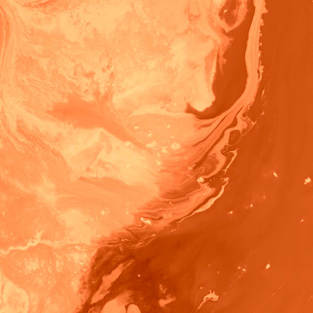 Ridaly Diseño Web: ¿Qué es y cuáles son sus características? Diseño Web: ¿Qué es y cuáles son sus características?