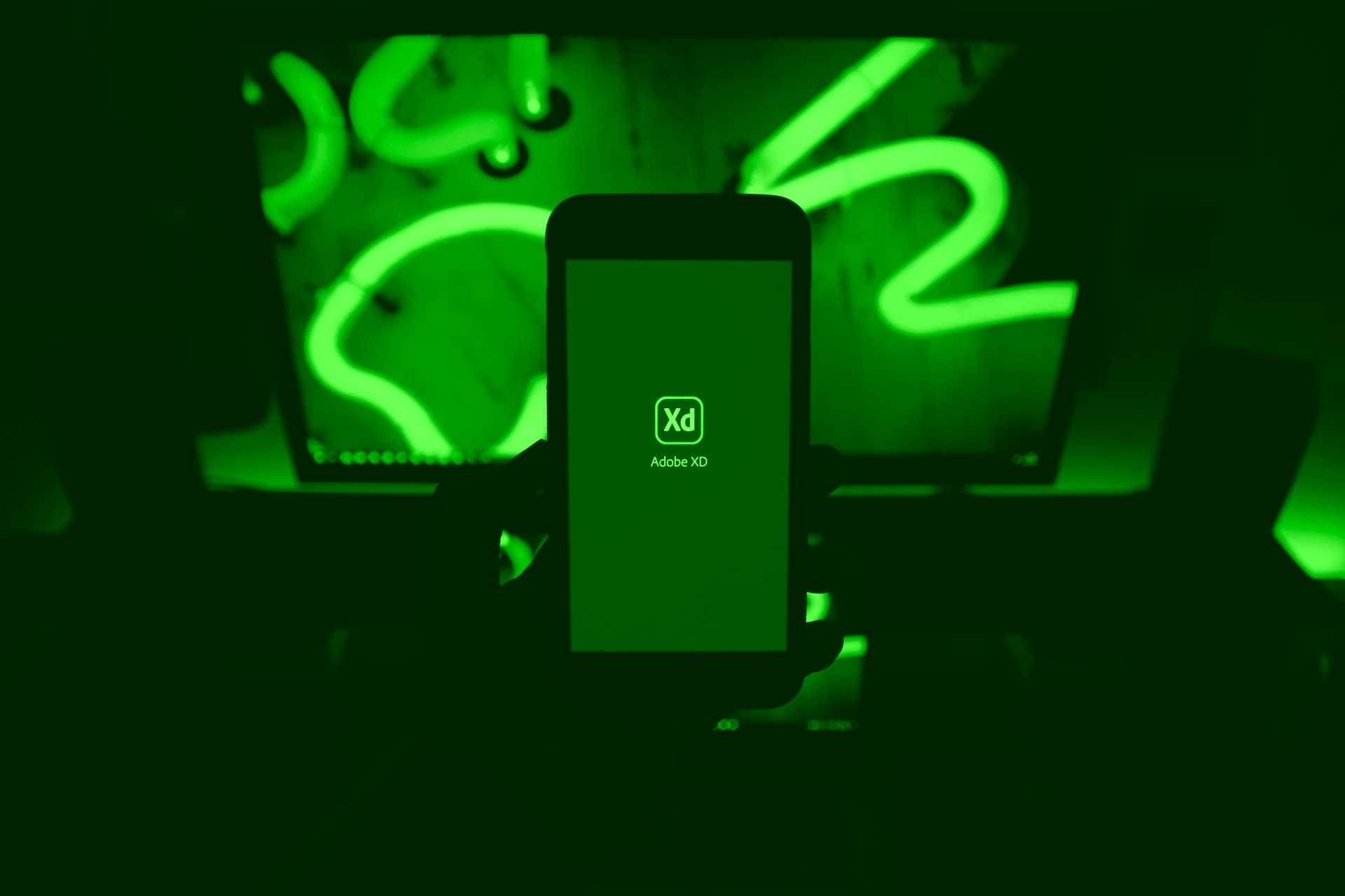 Ridaly desarrollo de sitios web de mascotas desarrollo de sitios web de mascotas