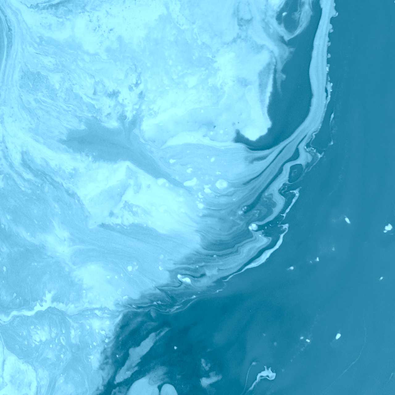 Ridaly Ridaly Web Builder: Pasos para construir un sitio web Ridaly Web Builder: Pasos para construir un sitio web